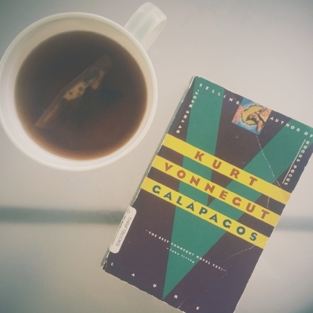 Obligatory book with a hot drink photo. Here I have a mango black tea, which I poured specifically for the purpose of taking this picture.