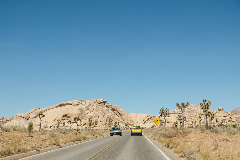 joshua-tree-adventure-9442.jpg