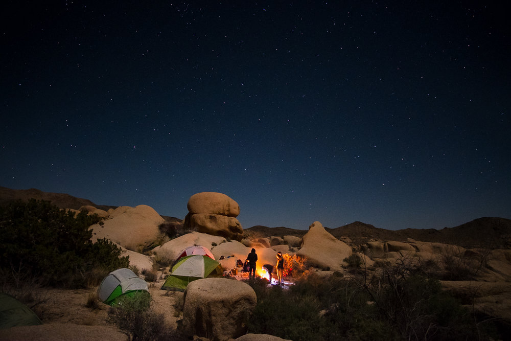 camping-joshuatree9871-2-2.jpg