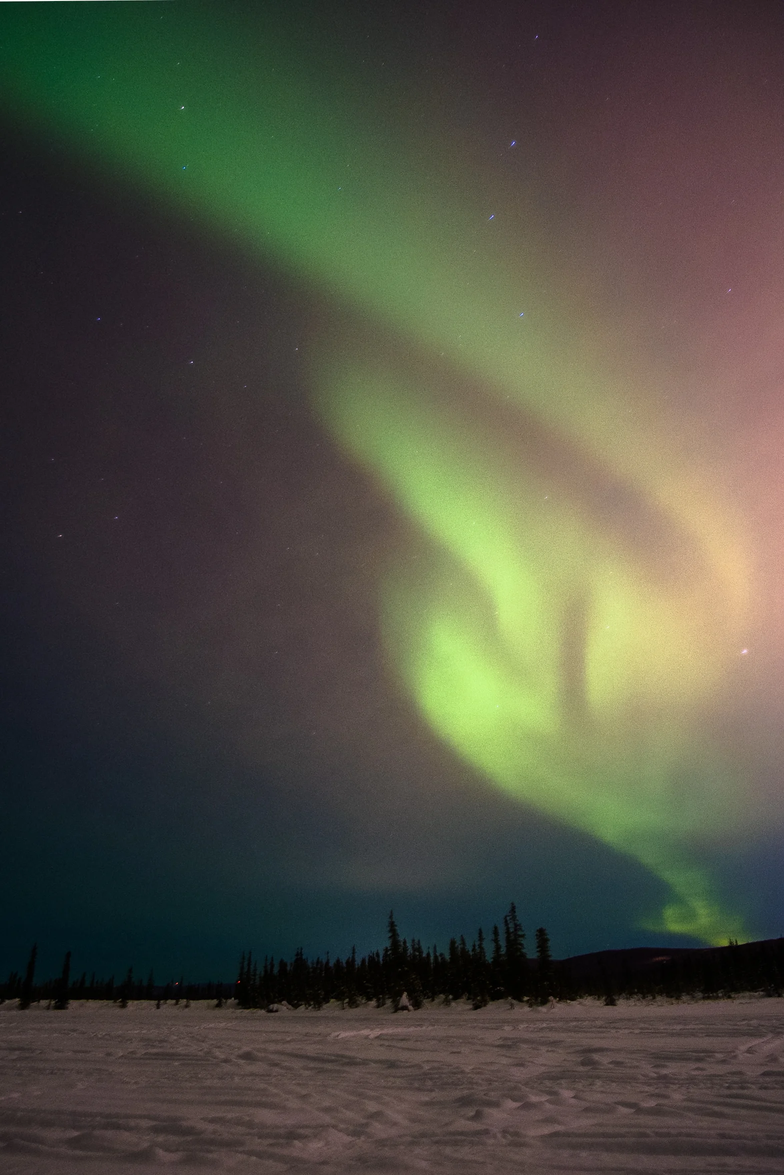 Alaska-Adventure6371.jpg