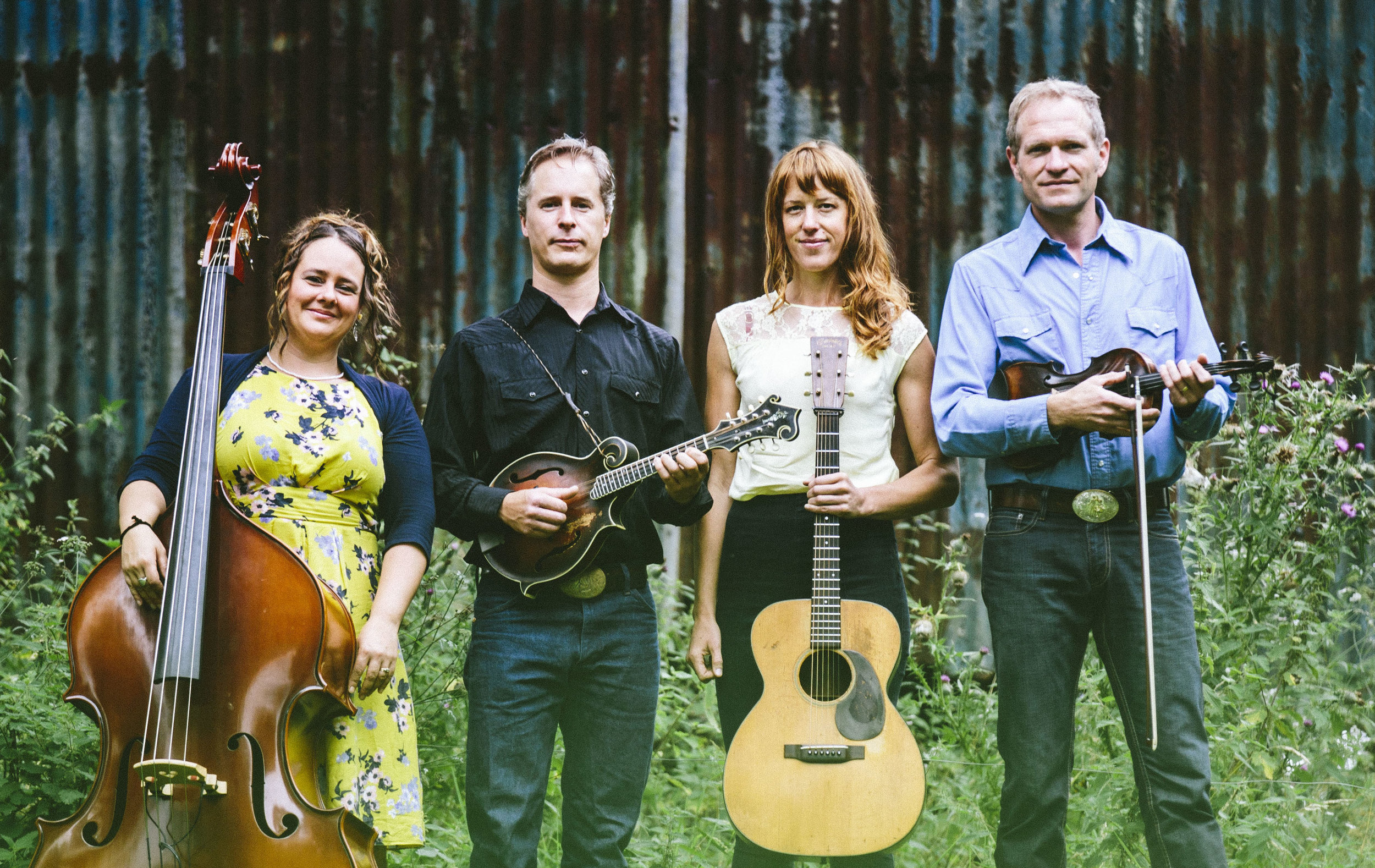 Foghorn Stringband