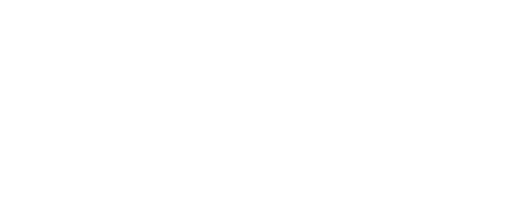 bimis.png