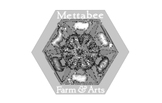 mettabee.png
