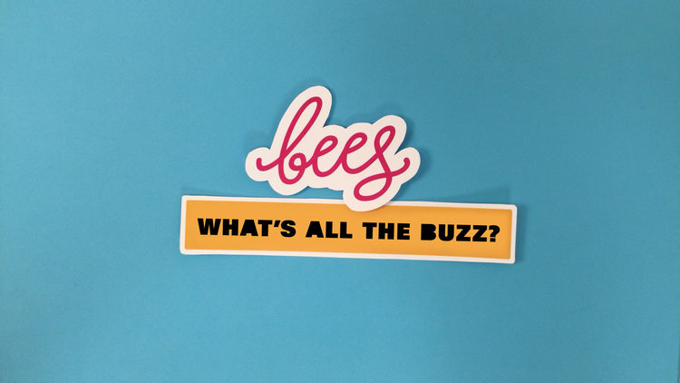 Bees1-25.jpg