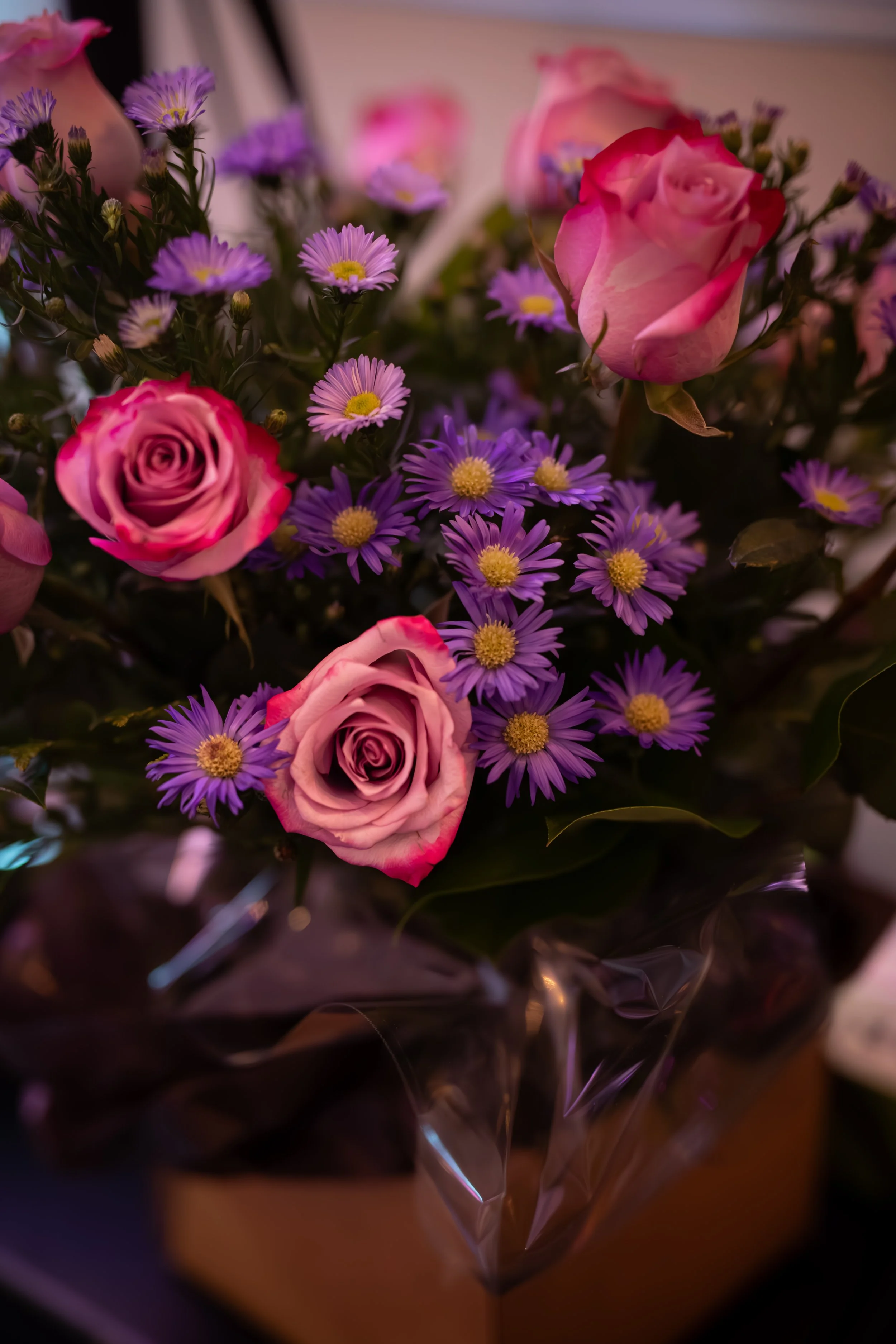 702A3696-Enhanced-NR.jpg