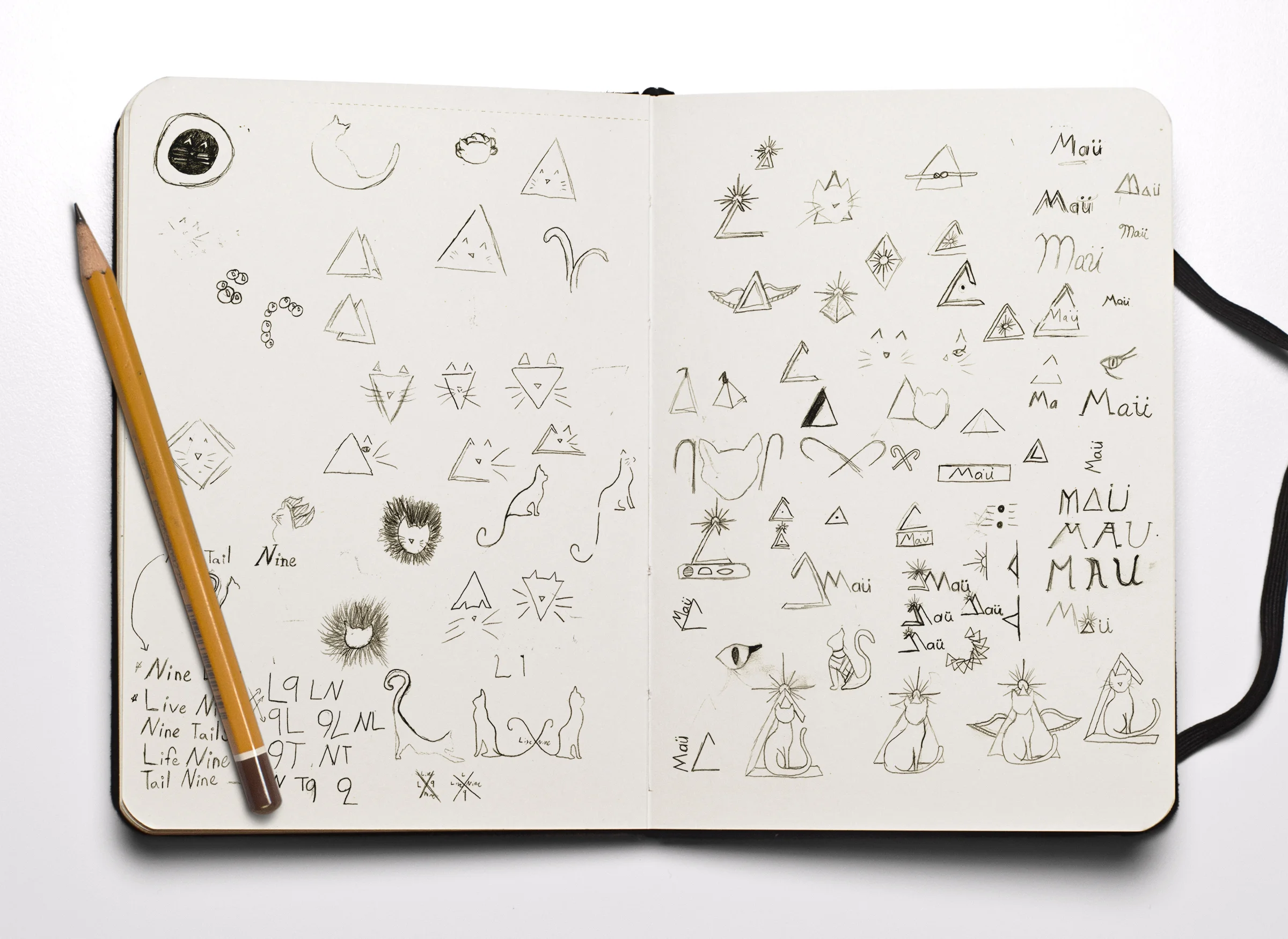 MauSketch1.jpg