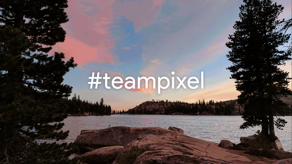 Nexus-PixelPhotoSocial-Teampixel_Twitter_post_16-9_V01.gif
