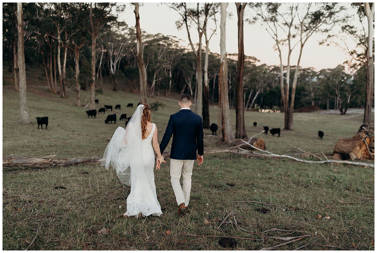 Bowral Southern Highlands Autumn Wedding - Centennial Vineyards cow pasture