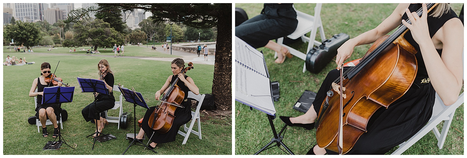 String Trio entertains wedding guest at the Royal Botanic Gardens Sydney