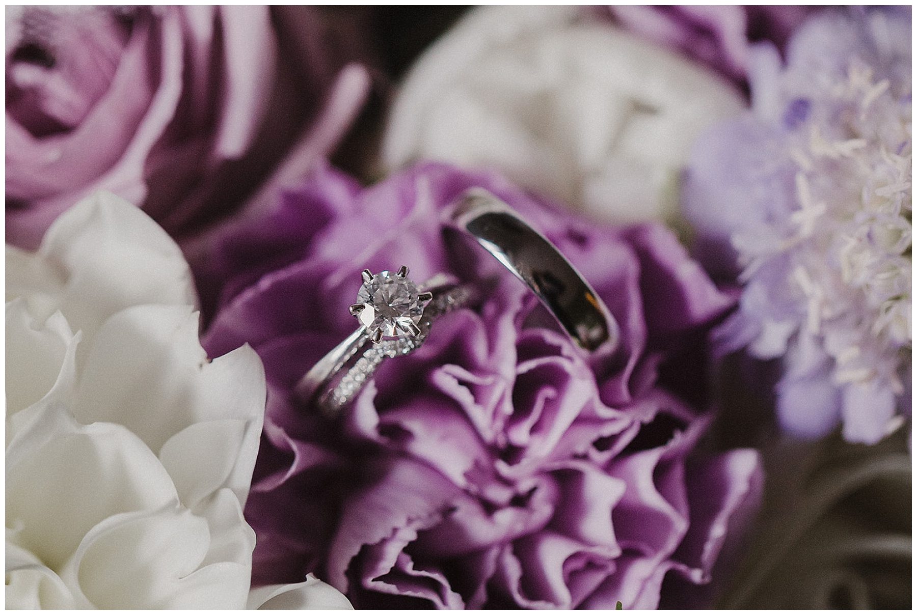 The Bride and Groom's rings in a bed of flowers