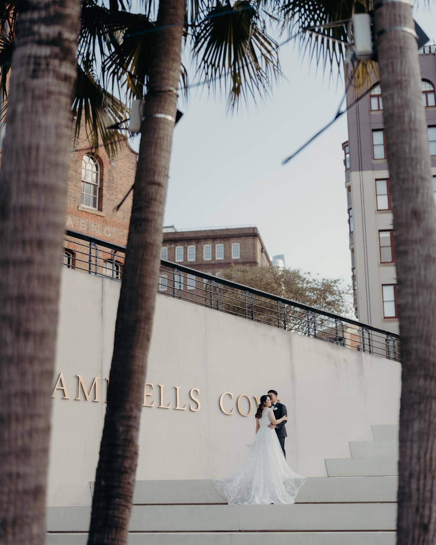 It&rsquo;s all fun and games till a seagull decides you need to die.. then you&rsquo;ve got some interesting life decisions to make.

#russellstaffordphotography #sydneyweddingphotographer #sydneywedding