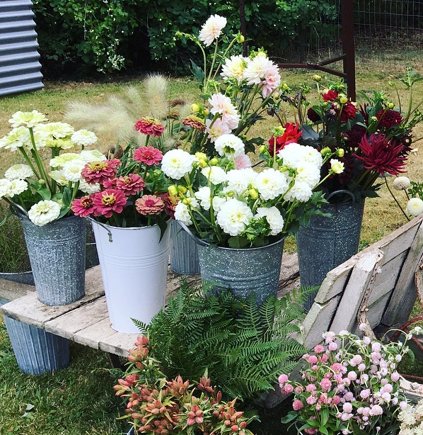 diy flOwers.png