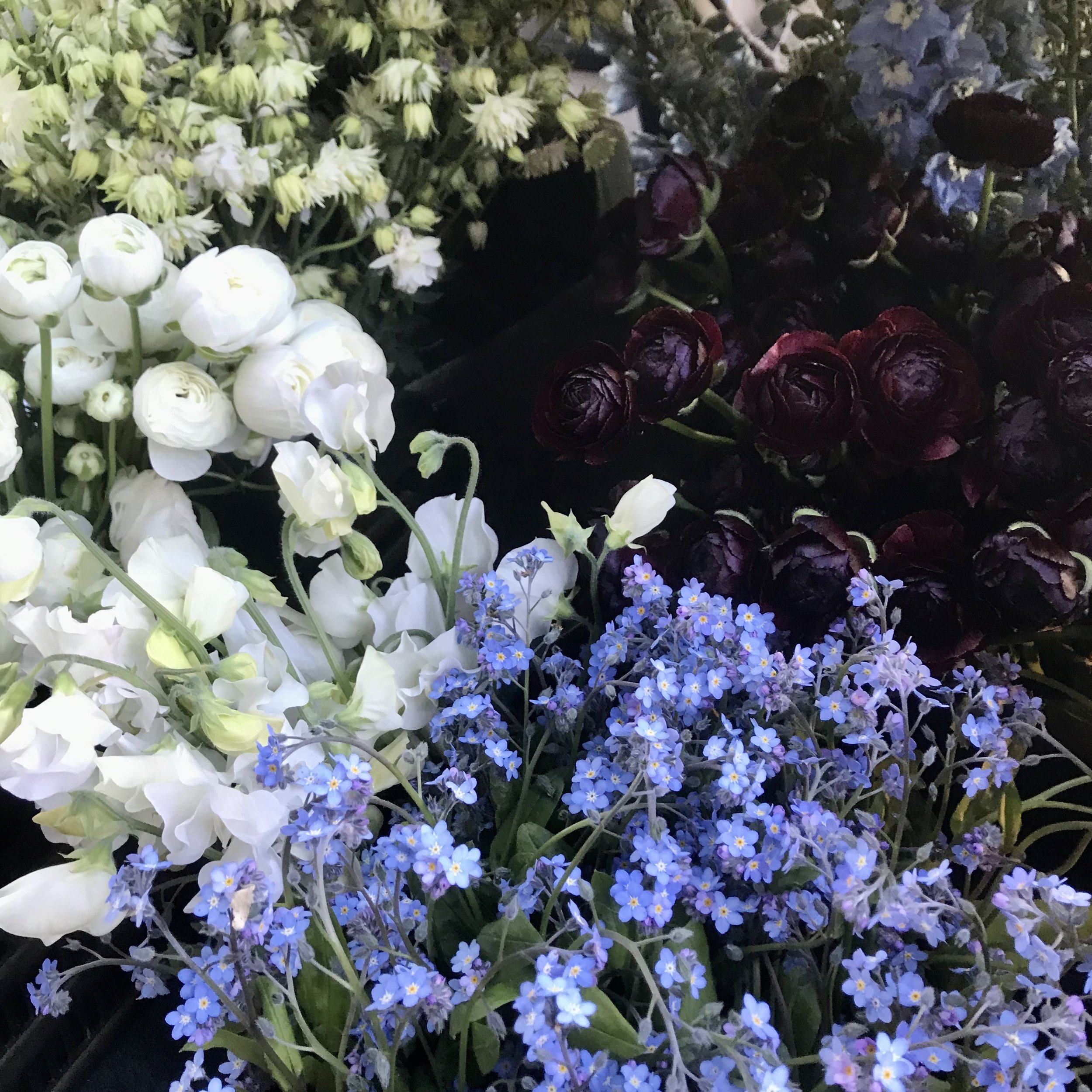 Free Range Flowers Bellingham, WA Flower Farm & Florist for Weddings