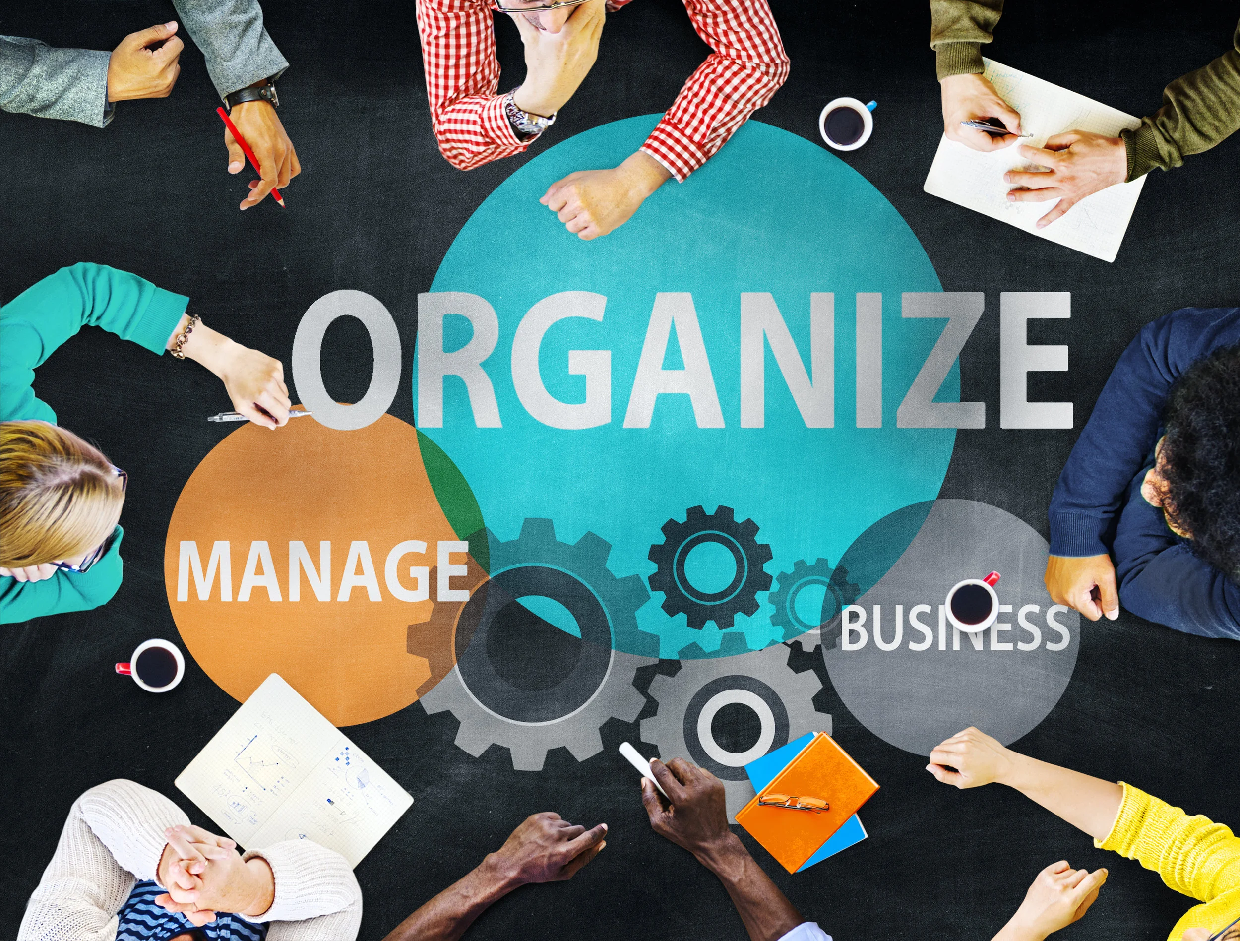 organize.jpg