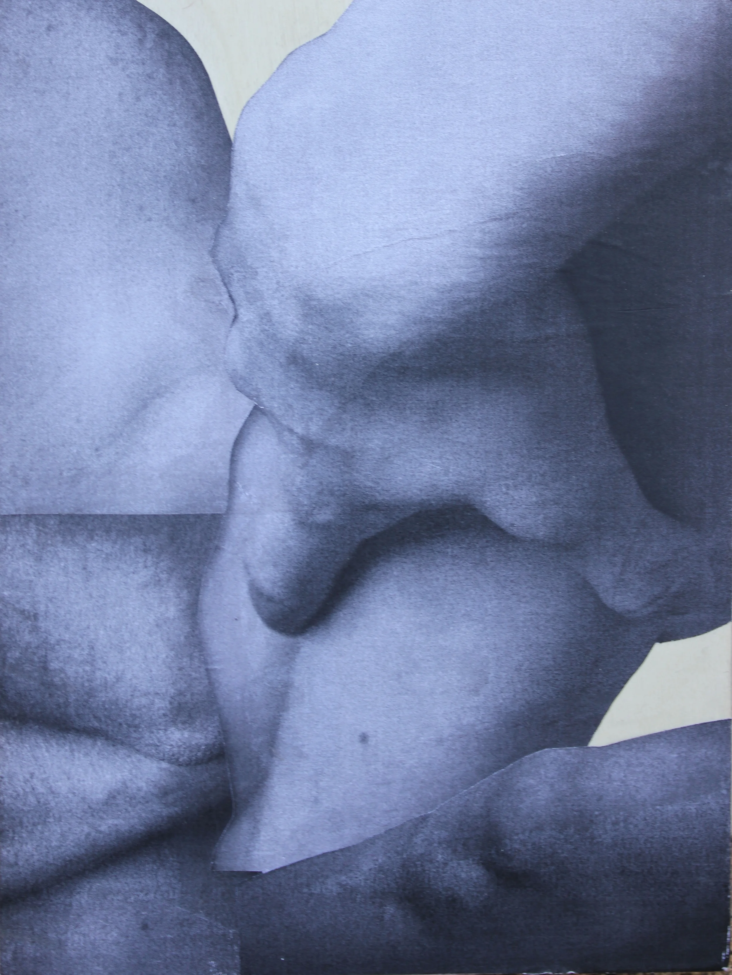 2015_Collage_Grip Flesh_8x6_LGTurbeville.JPG