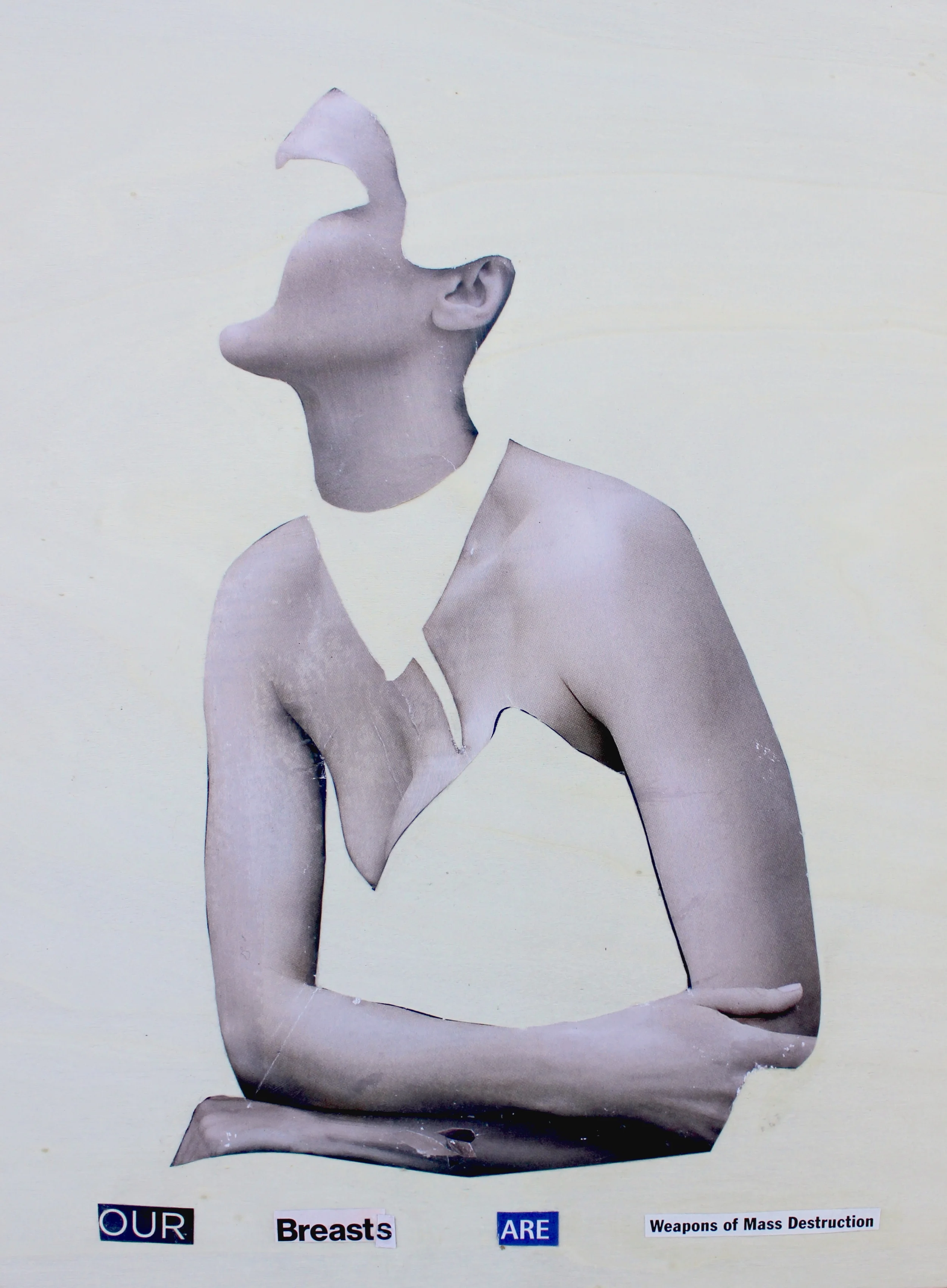 2015_COLLAGE_weapons of mass destruction_March 23_LGTurbeville.JPG