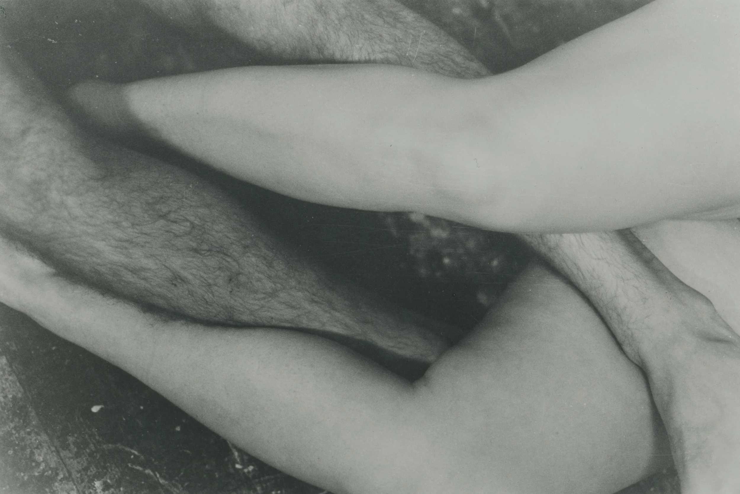 Lydia Turbeville_Equality IV.jpg