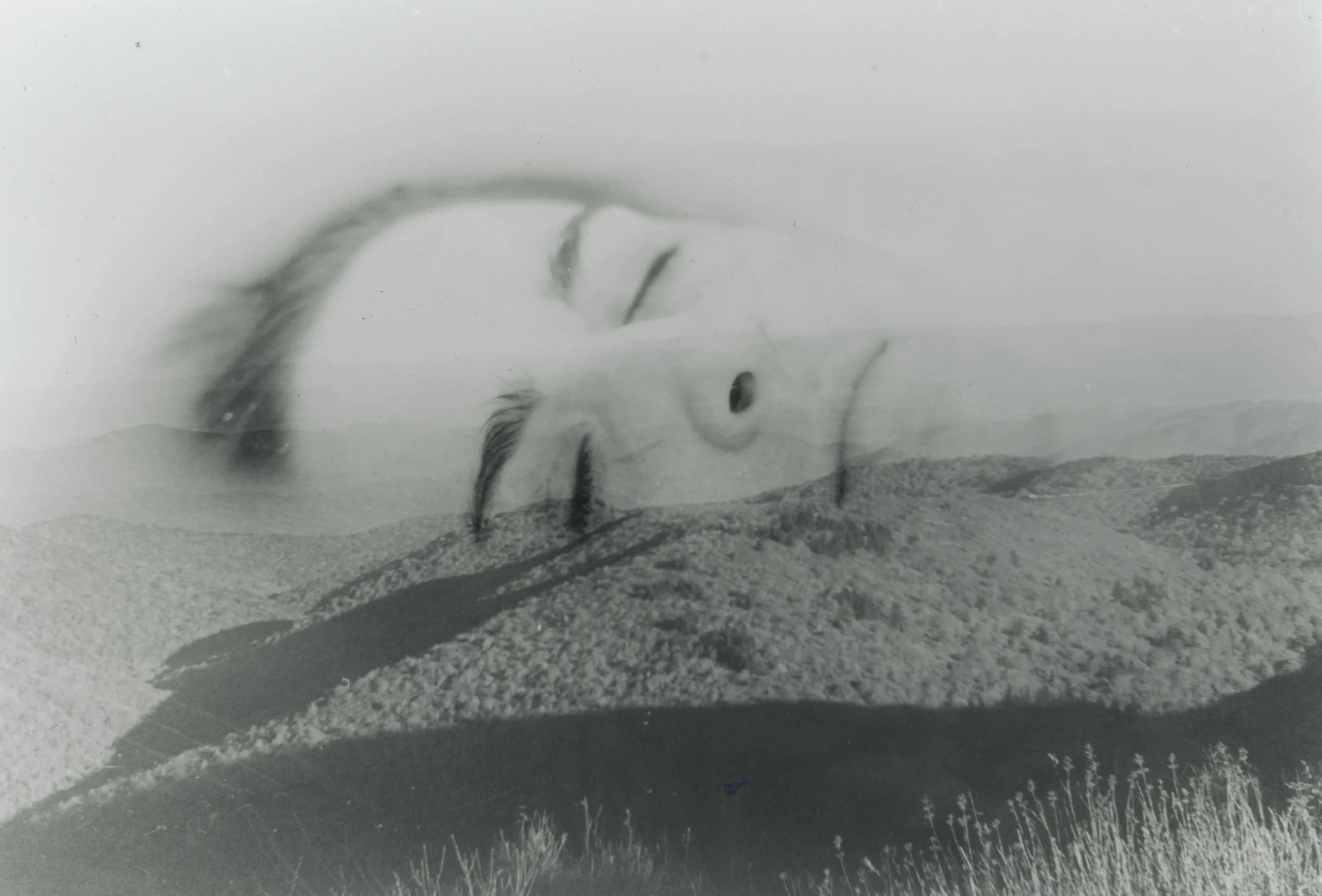 Lydia Turbeville_Mother Nature.jpg
