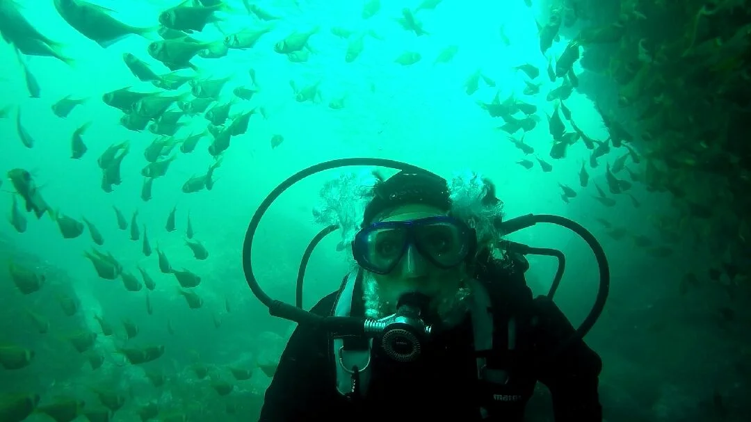 looking for sharks.jpg
