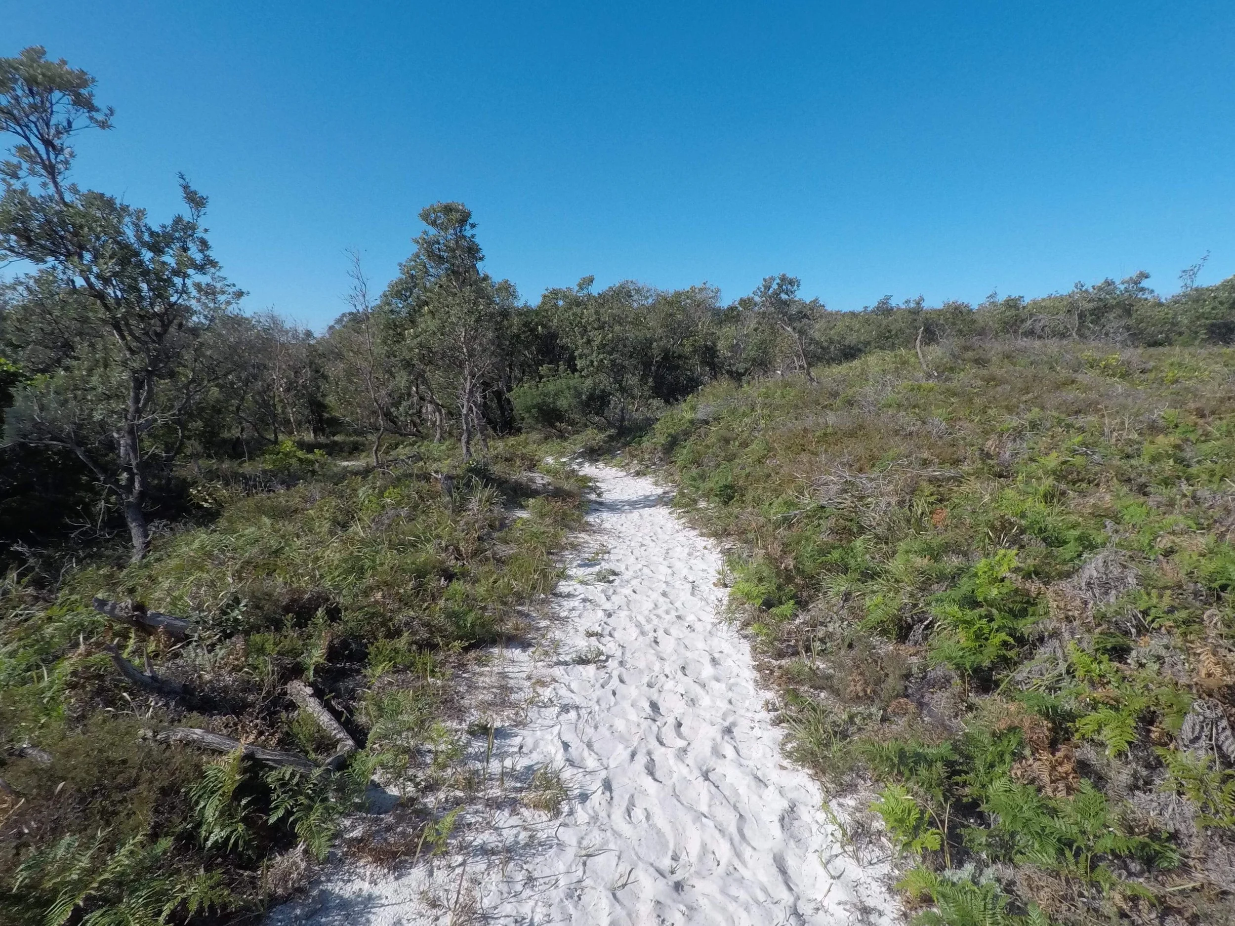 Setting a Solid Foundation in the Outdoors for Kids