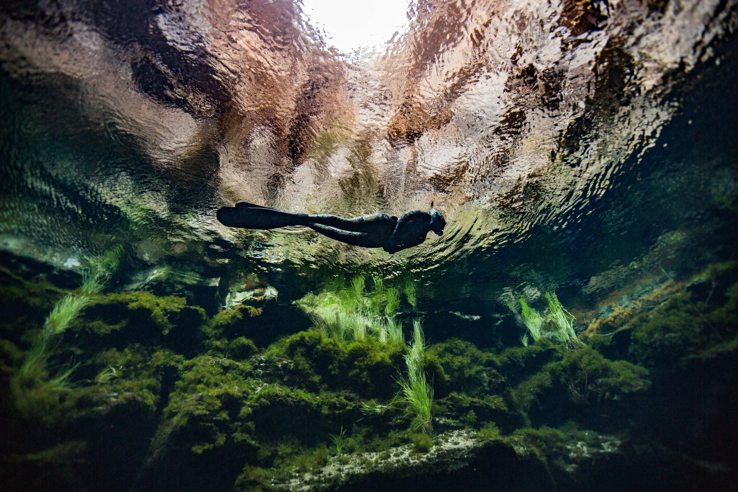 1O0A8623.jpg