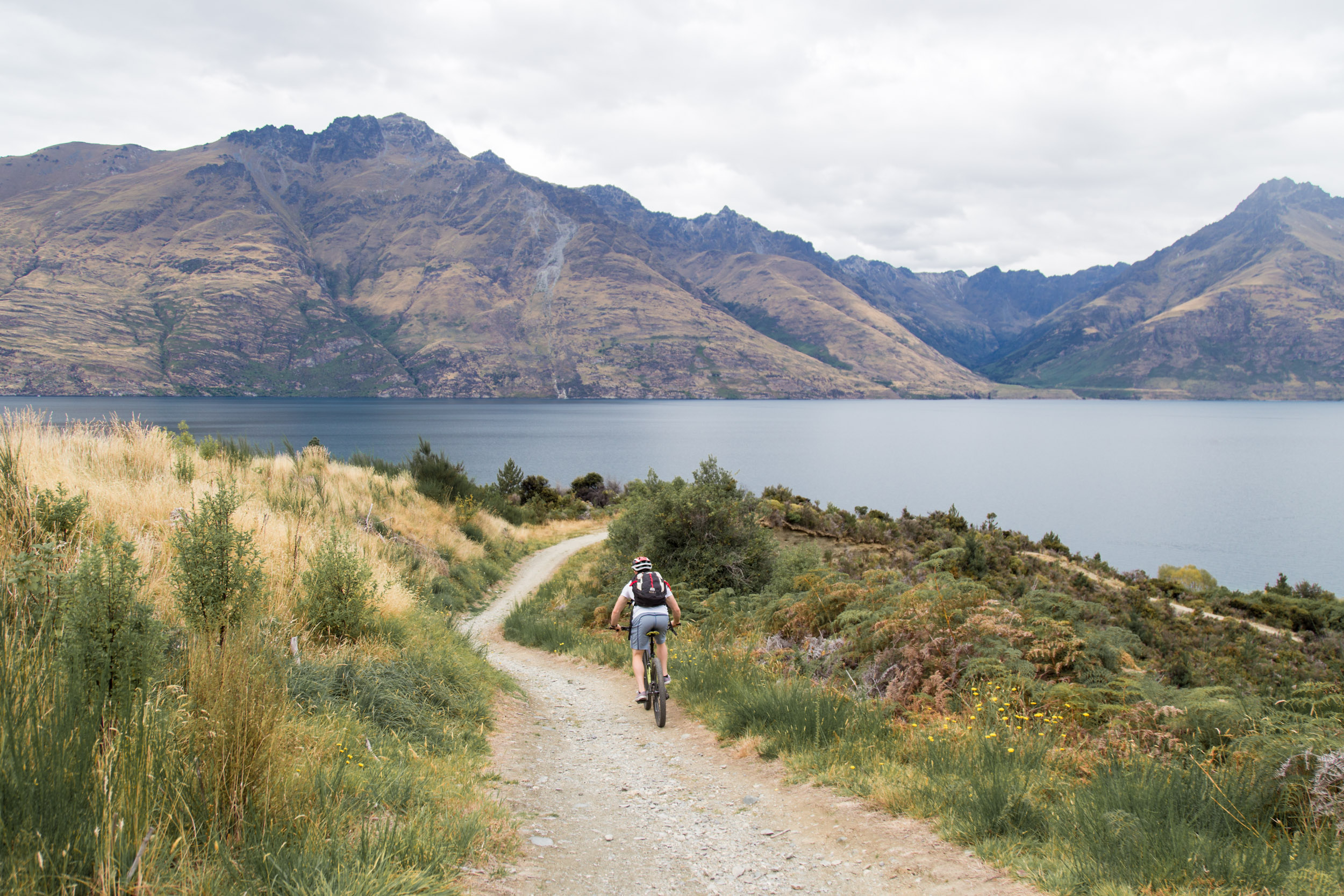 ThucCreative_NewZealand-8074.jpg