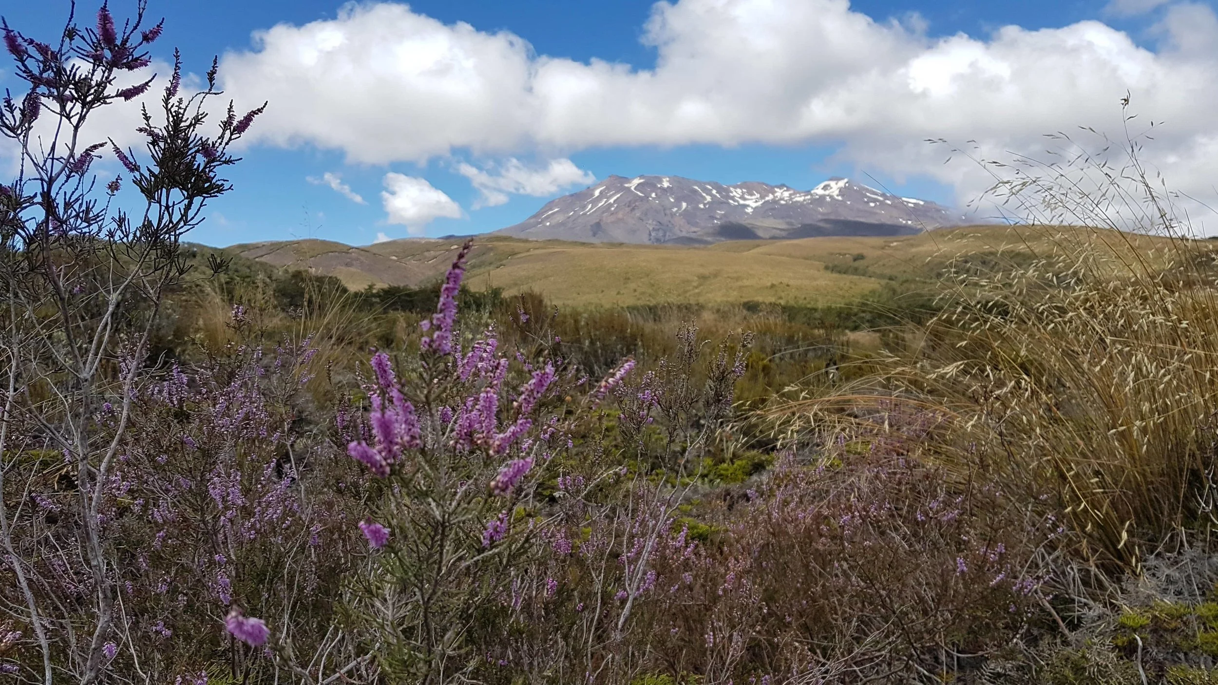 Day 1 - Leaving Whakapapa Village with Mt Ngauruhoe at your side