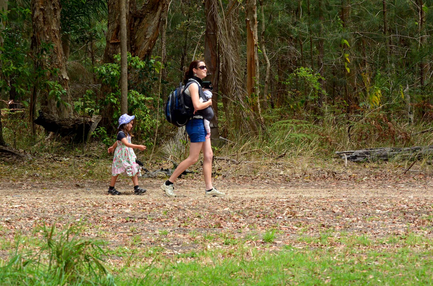 Kid-friendly hikes in NSW, Australia.jpg