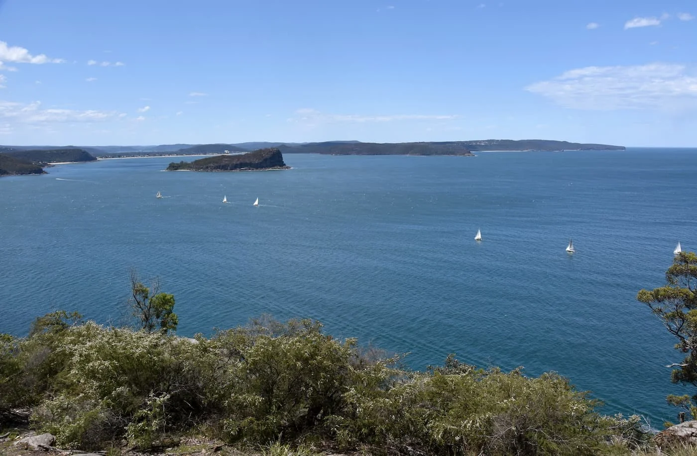 Lion Island, Ku-Ring-Gai Chase National Park. Image Source: Adobe Stock