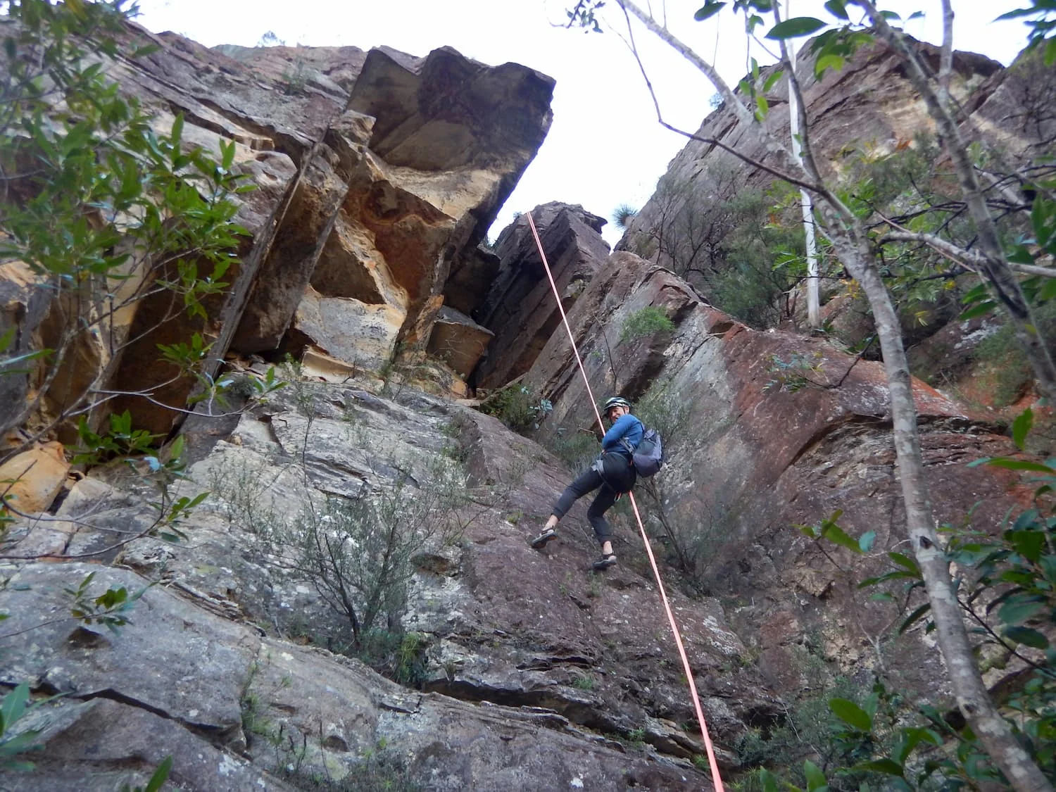 Asbeiling in the Blue Mountains.jpg