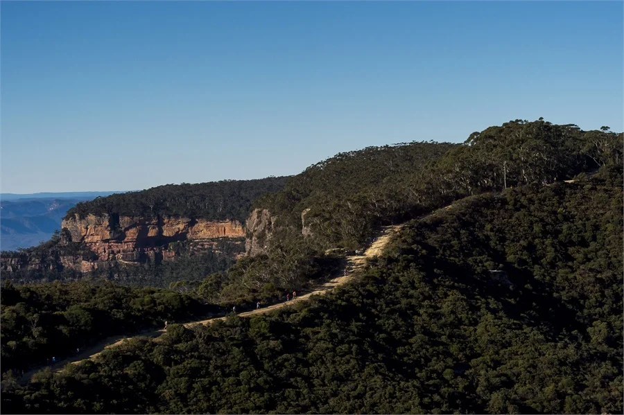 Lessons from Training for + Running Ultra Trail Australia