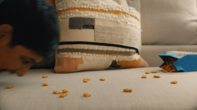 GOLDFISH _VACUUM_-low.gif