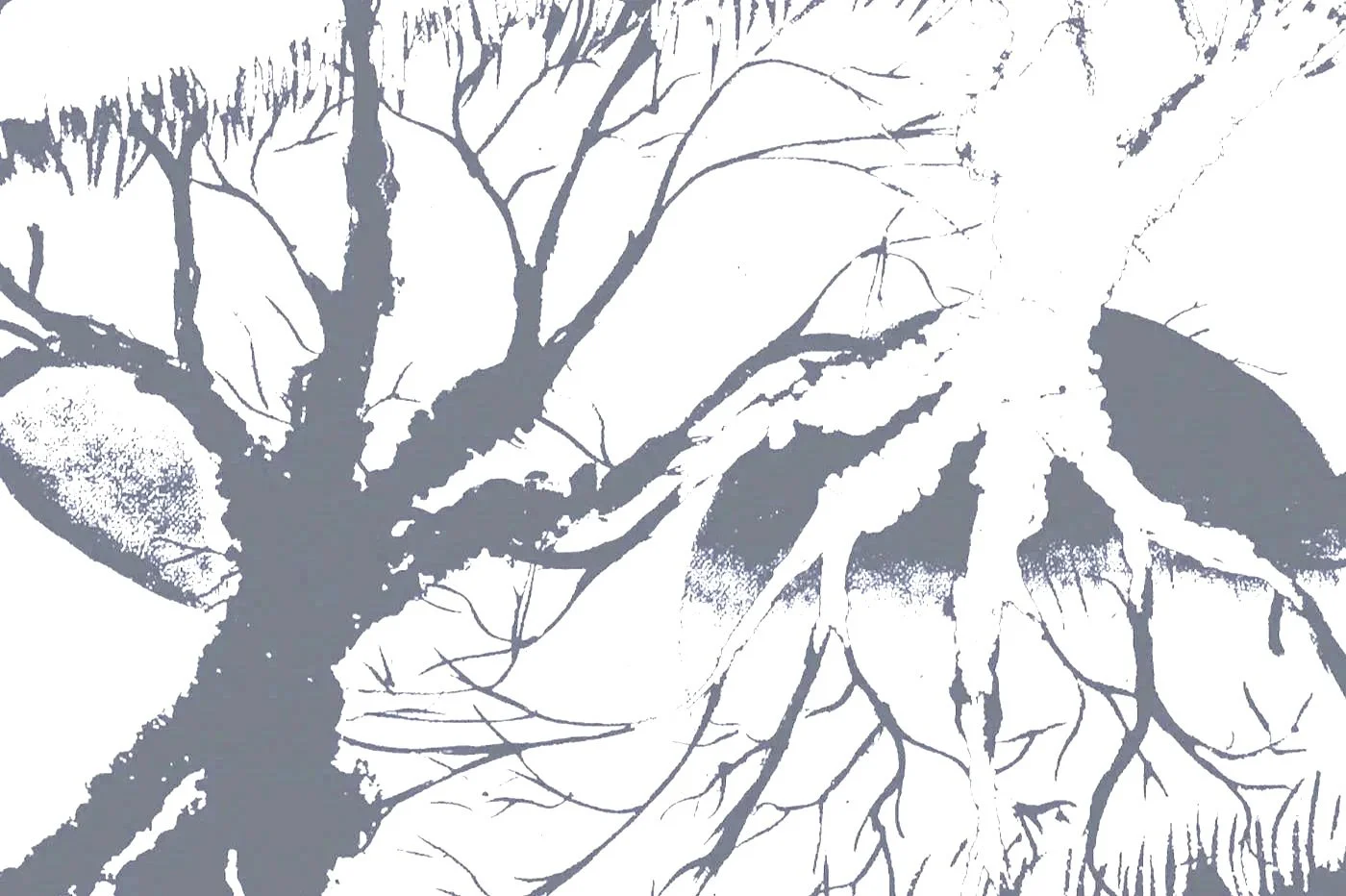 Bloom Decay art bandcamp.jpg