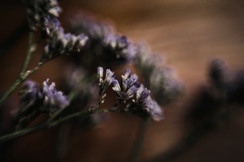 Blogger-tips-for-beginners-purple-flowers-and-tea-cup-by-Atlanta-photographer-Chanel-G-Photography-2.jpg