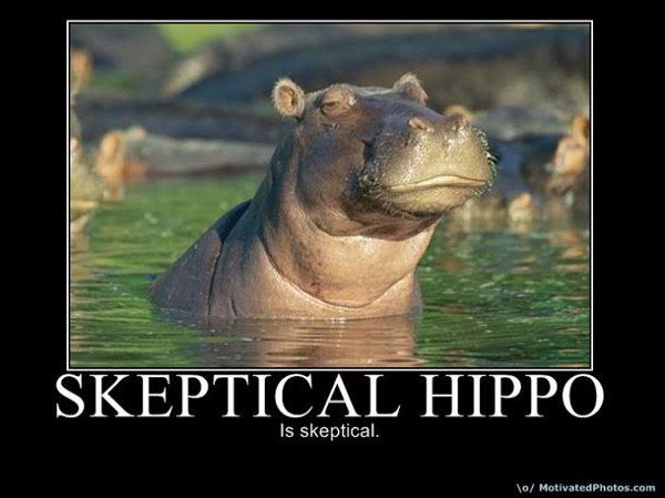 skeptical hippo.jpeg