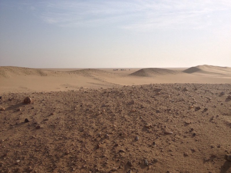 desert.jpeg