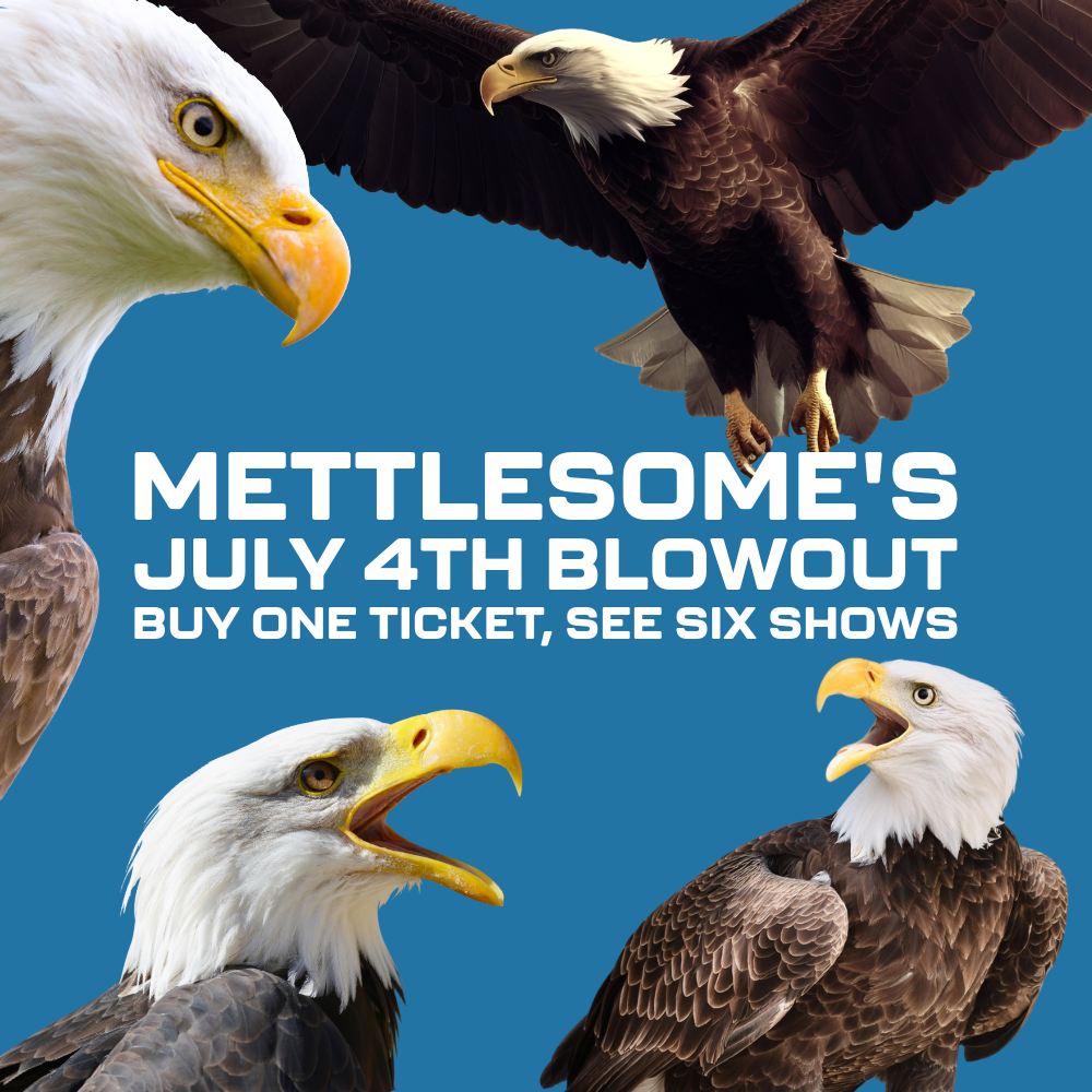 Mettlesome's July 4th Blowout