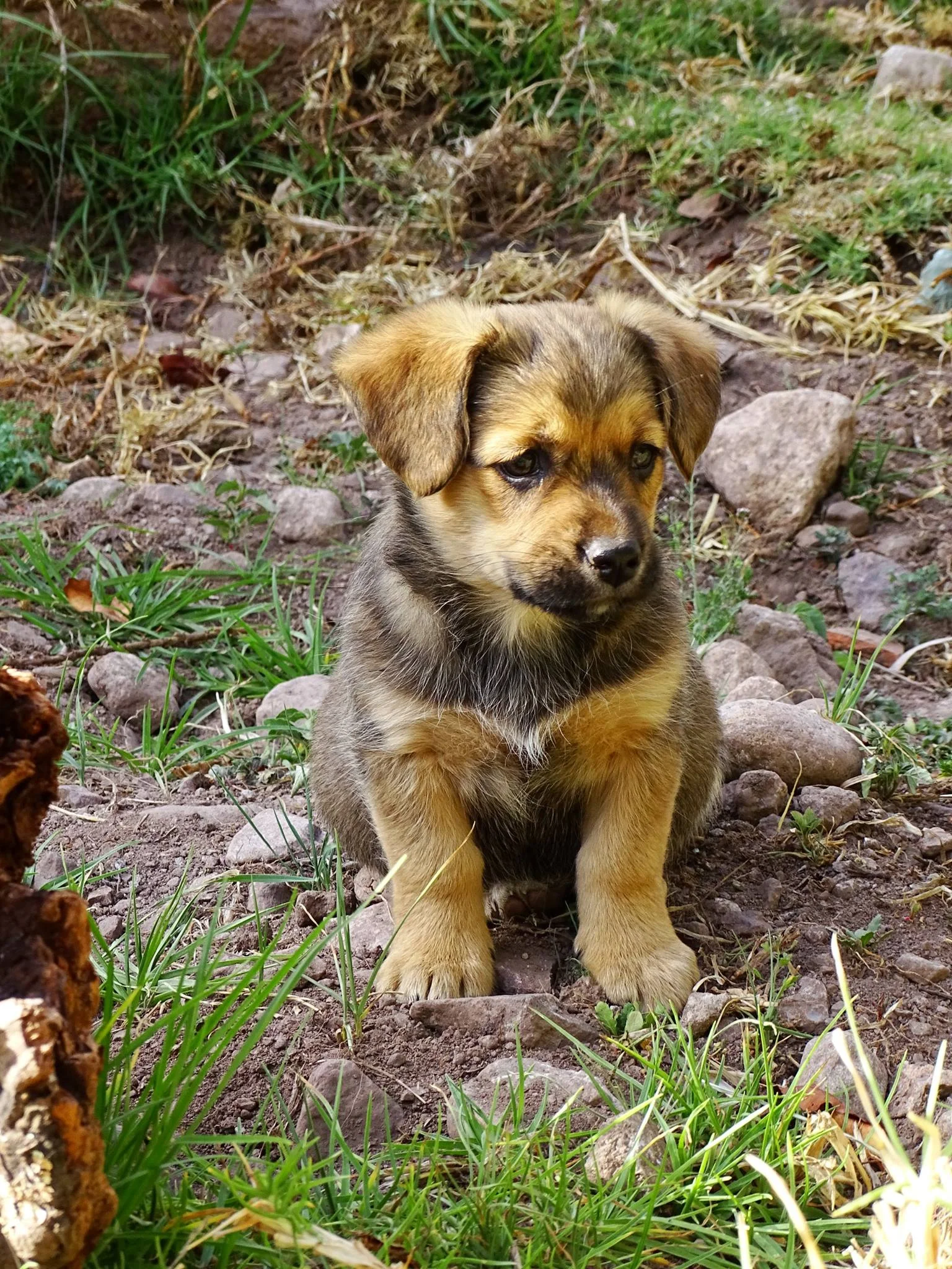 T´ika (Flower in Quechua), the baby girl.