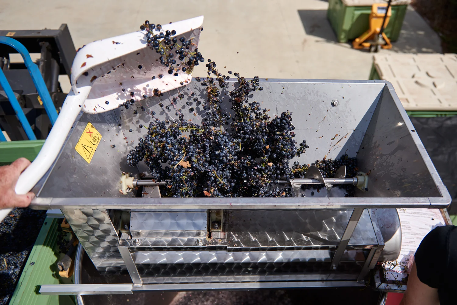 Cloud9_GrapeCrushing2016Web_DSC0867.jpg
