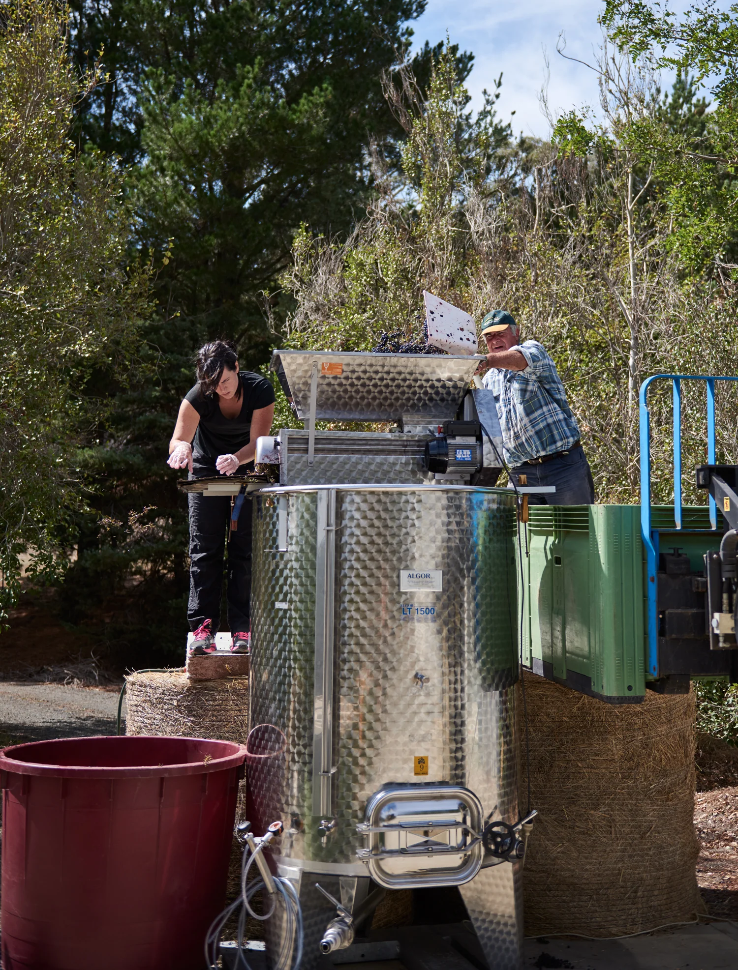Cloud9_GrapeCrushing2016Web_DSC0924.jpg