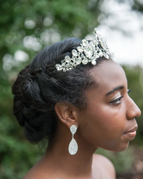 Rhinestone Crown 3.jpg