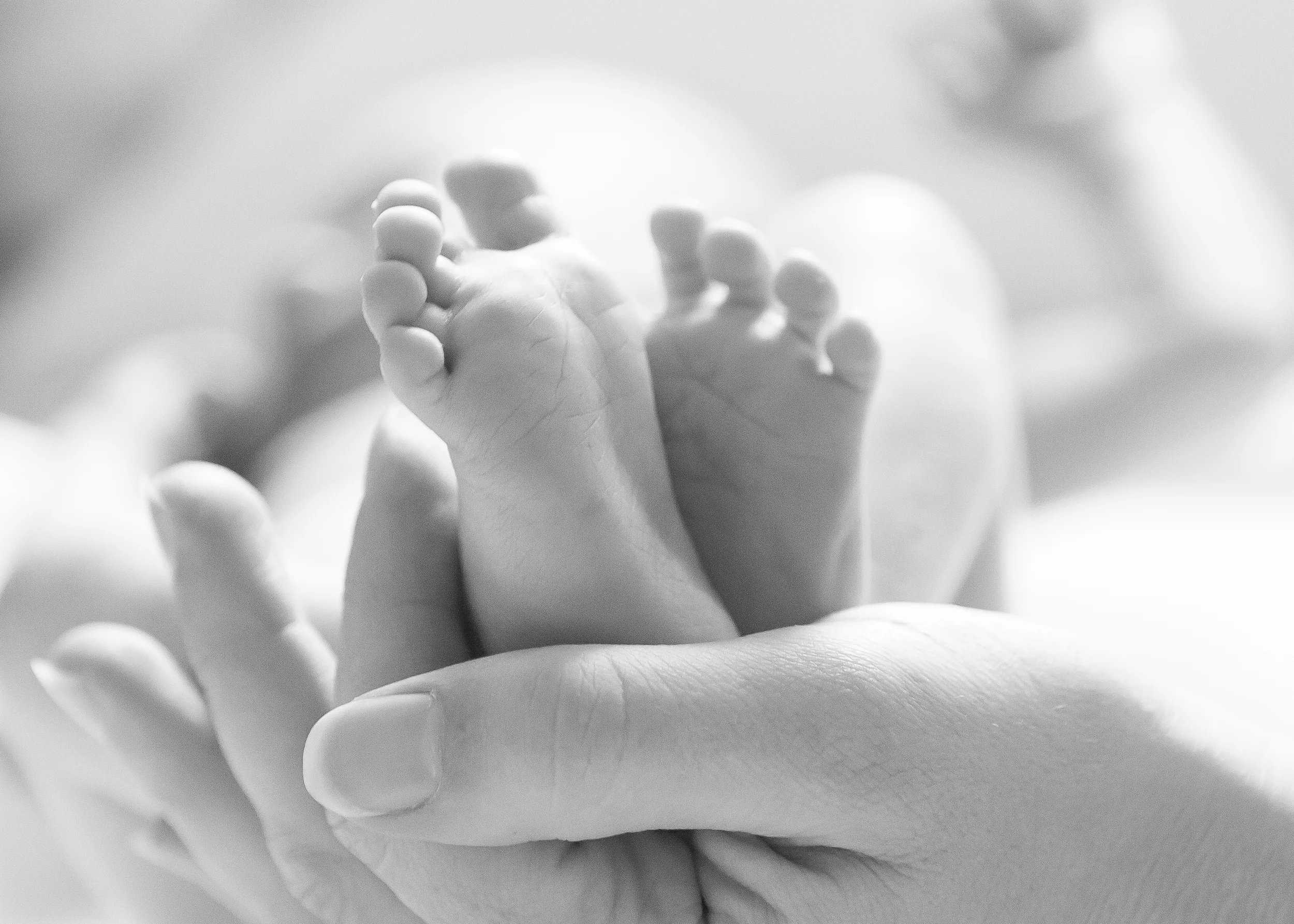 supporting physical &amp; cognitive development