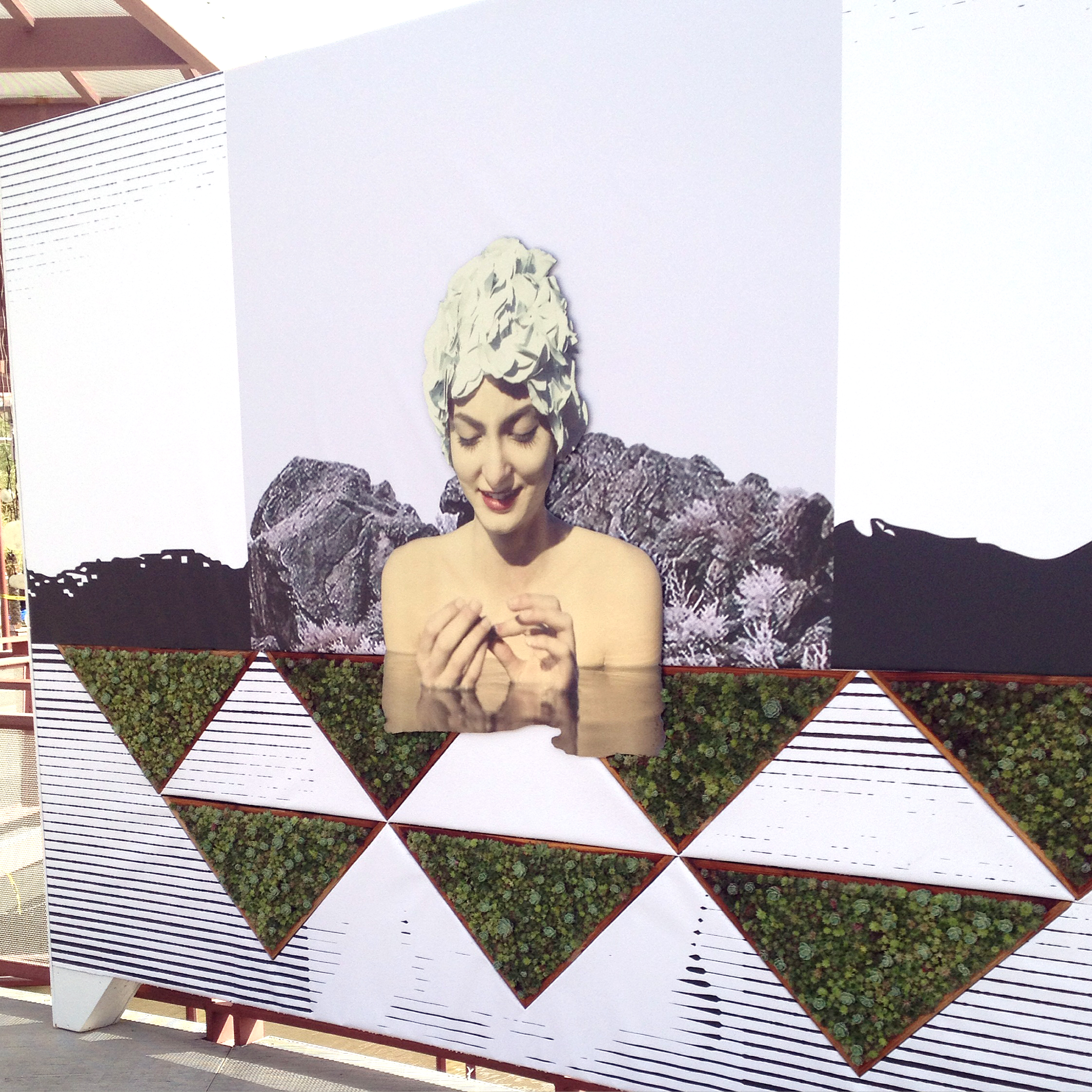 Mixed-media public art installation with succulents. Scottsdale, Arizona 