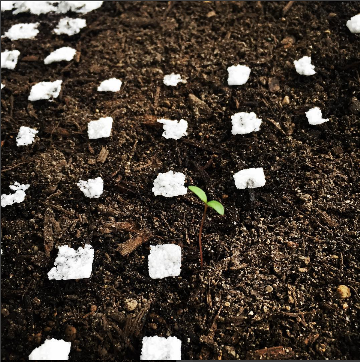  Soil and Salt Floor installation at Wave Pool Gallery, Cincinnati,  OH, 2017  