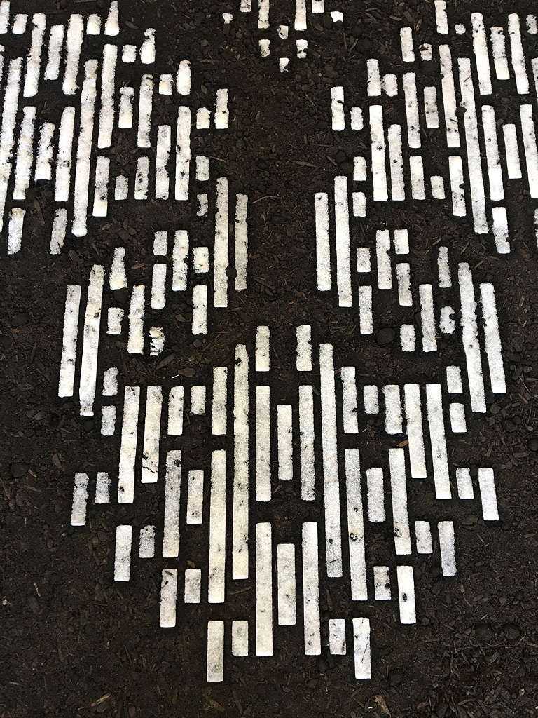 b Between Borders -detail.jpg