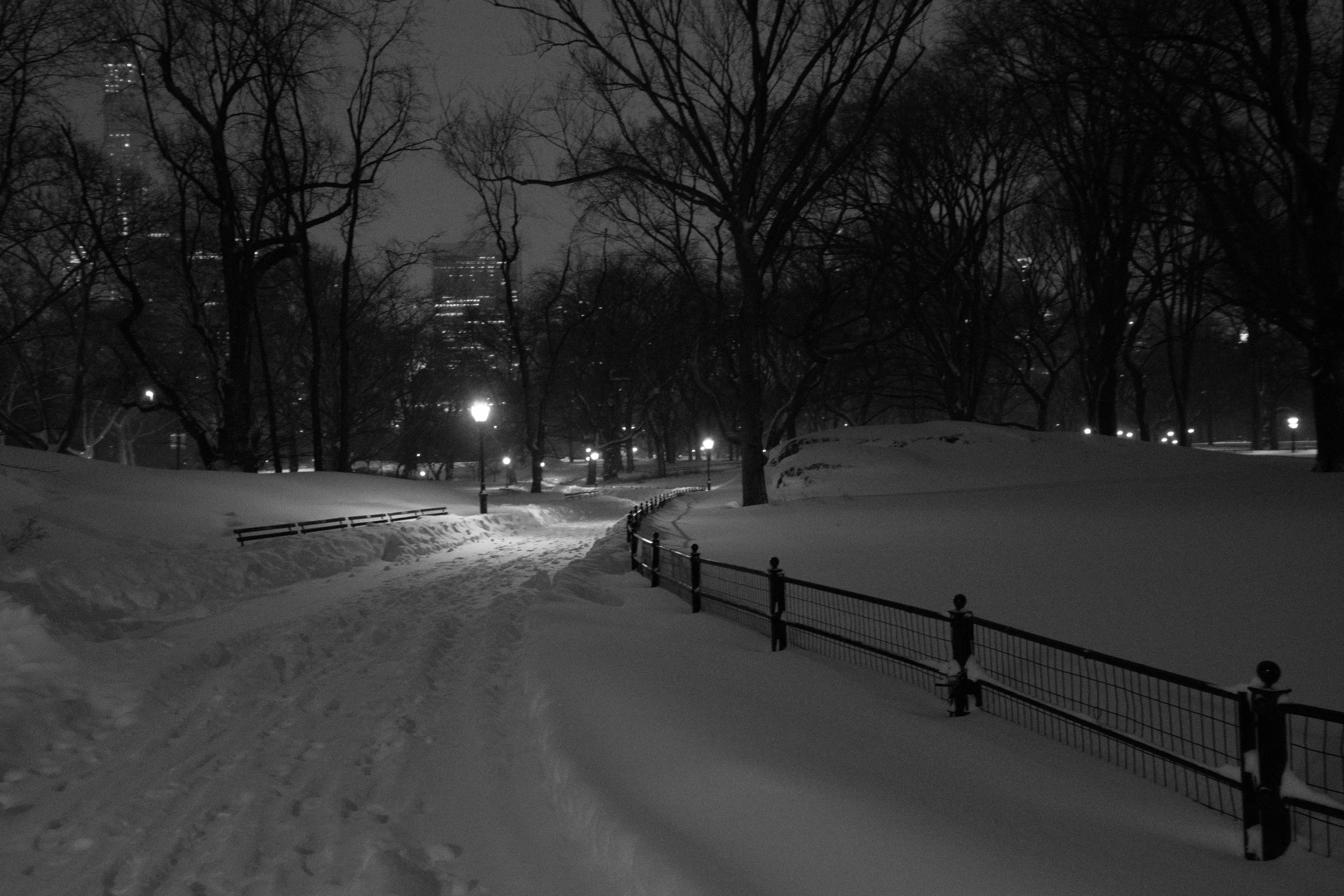DSC_0127.jpg