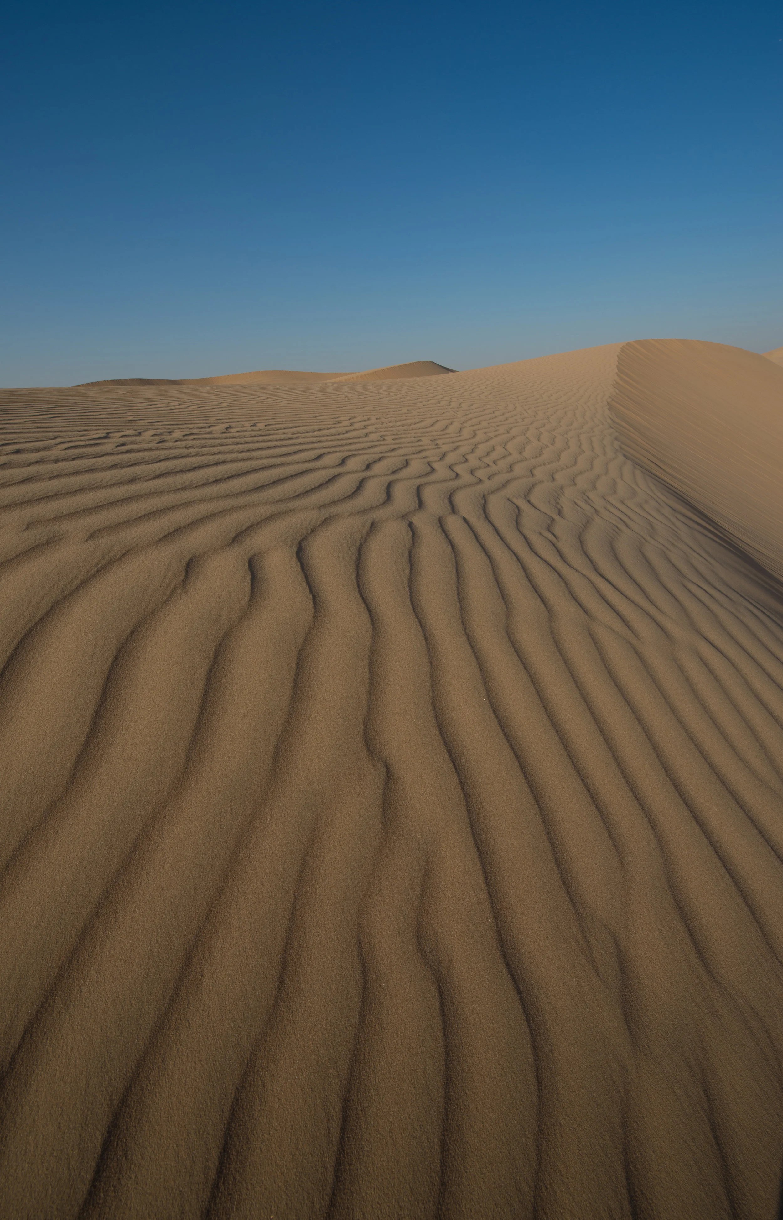 Desert Dune