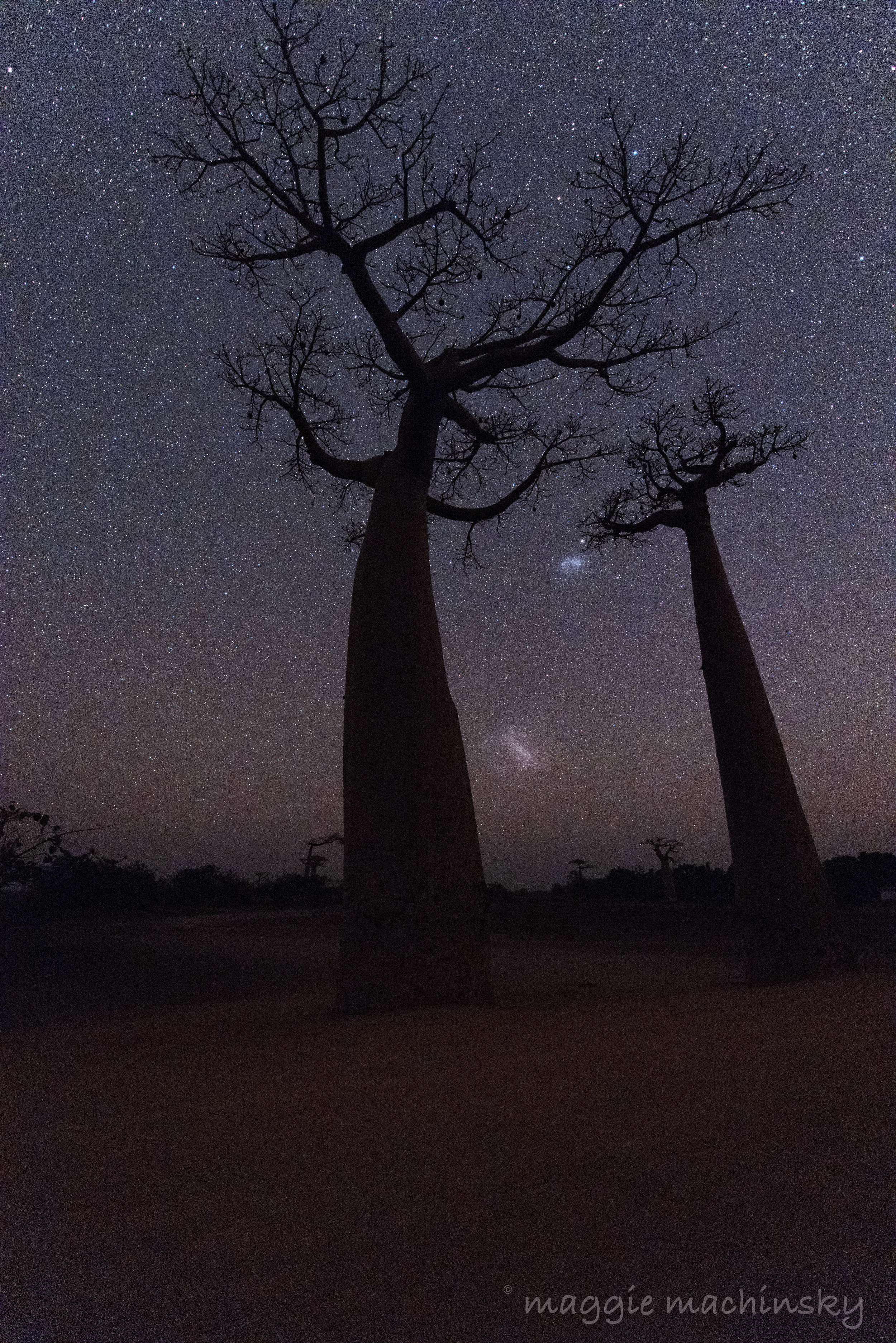 Magellanic Clouds