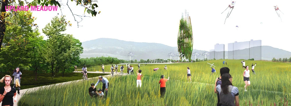 meadow_web.jpg