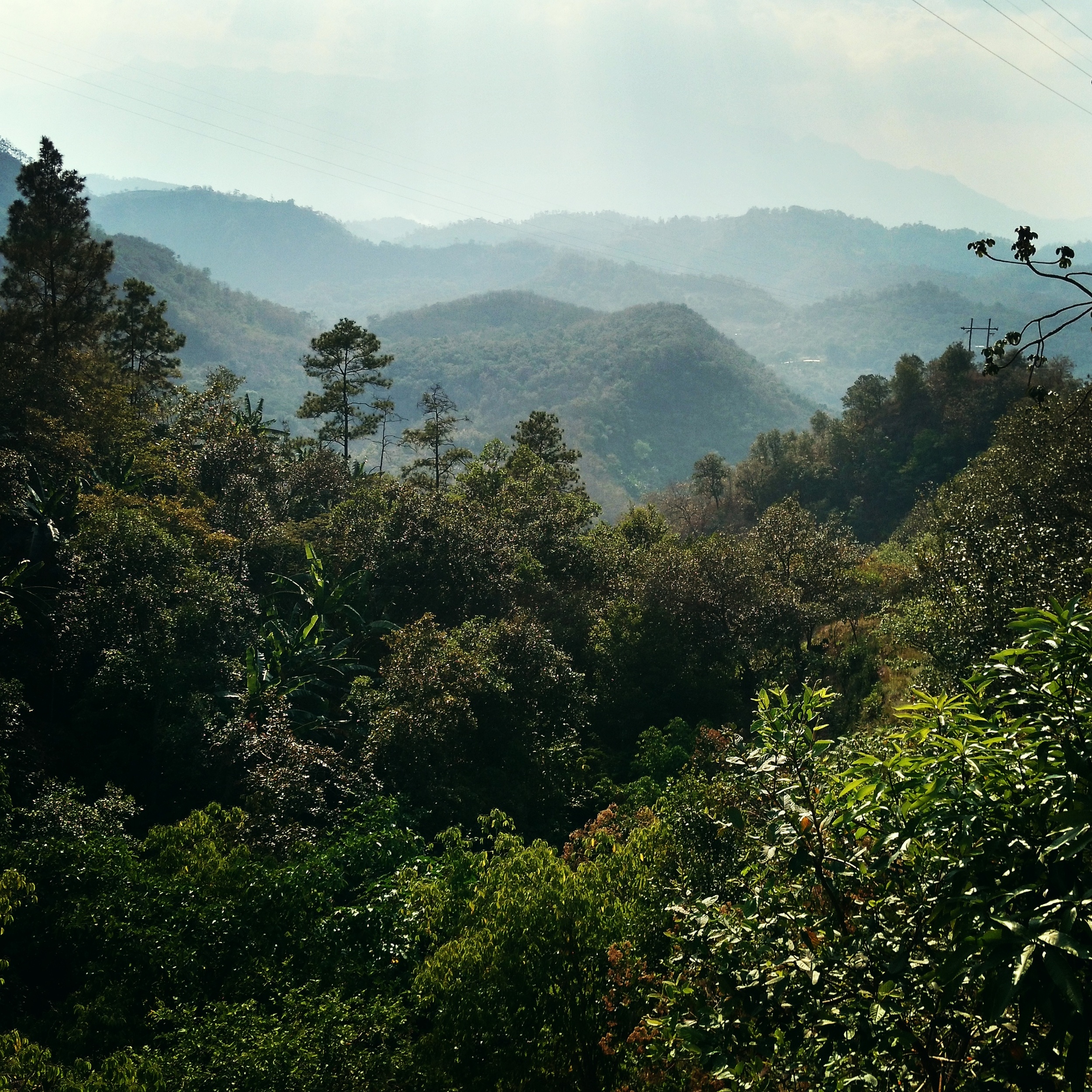 The beautiful Honduran landscape on the way to Belen. 